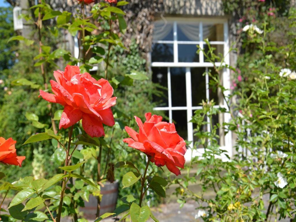 Powis House B&B Stirling Kültér fotó